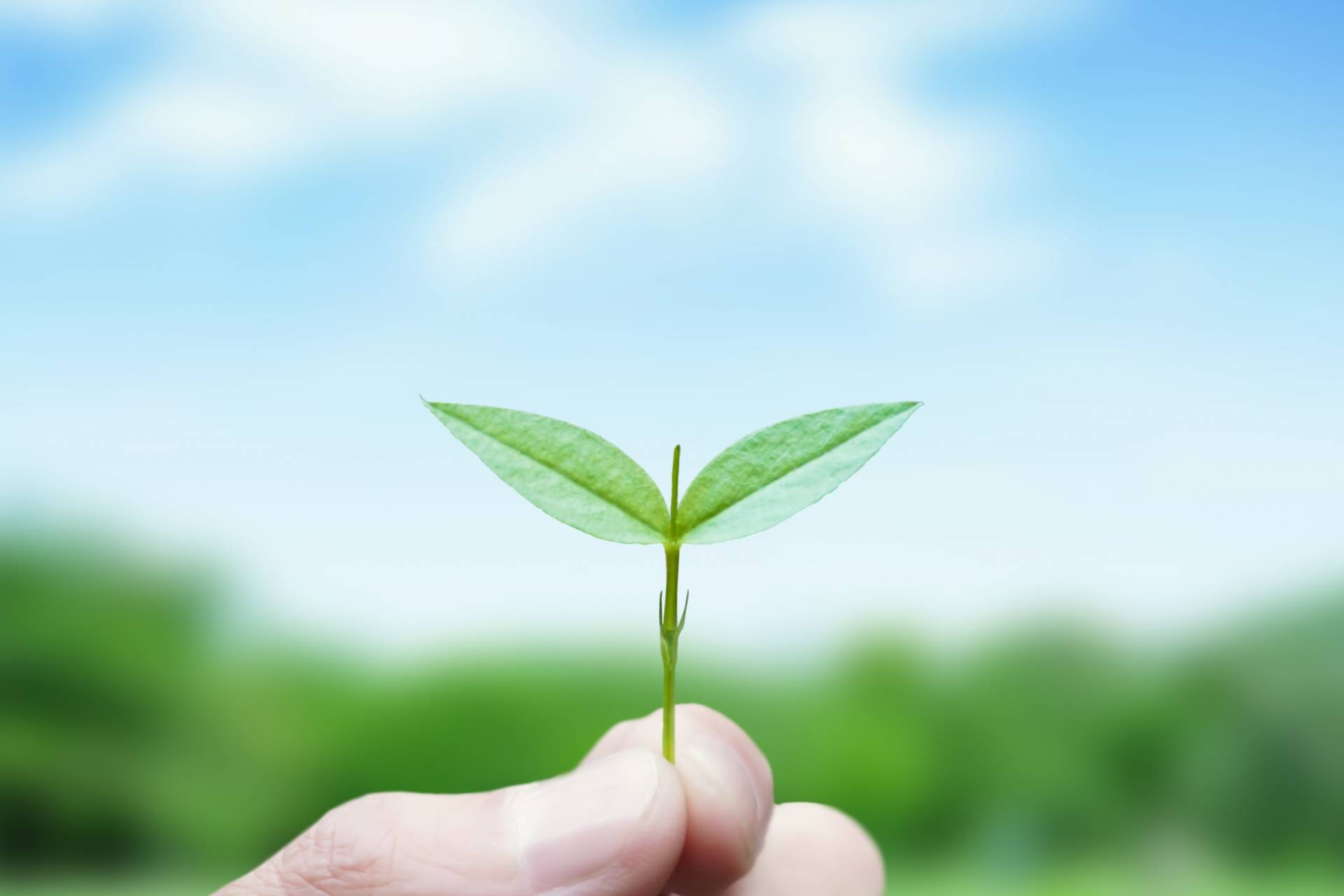 gokifunoonegai_banner